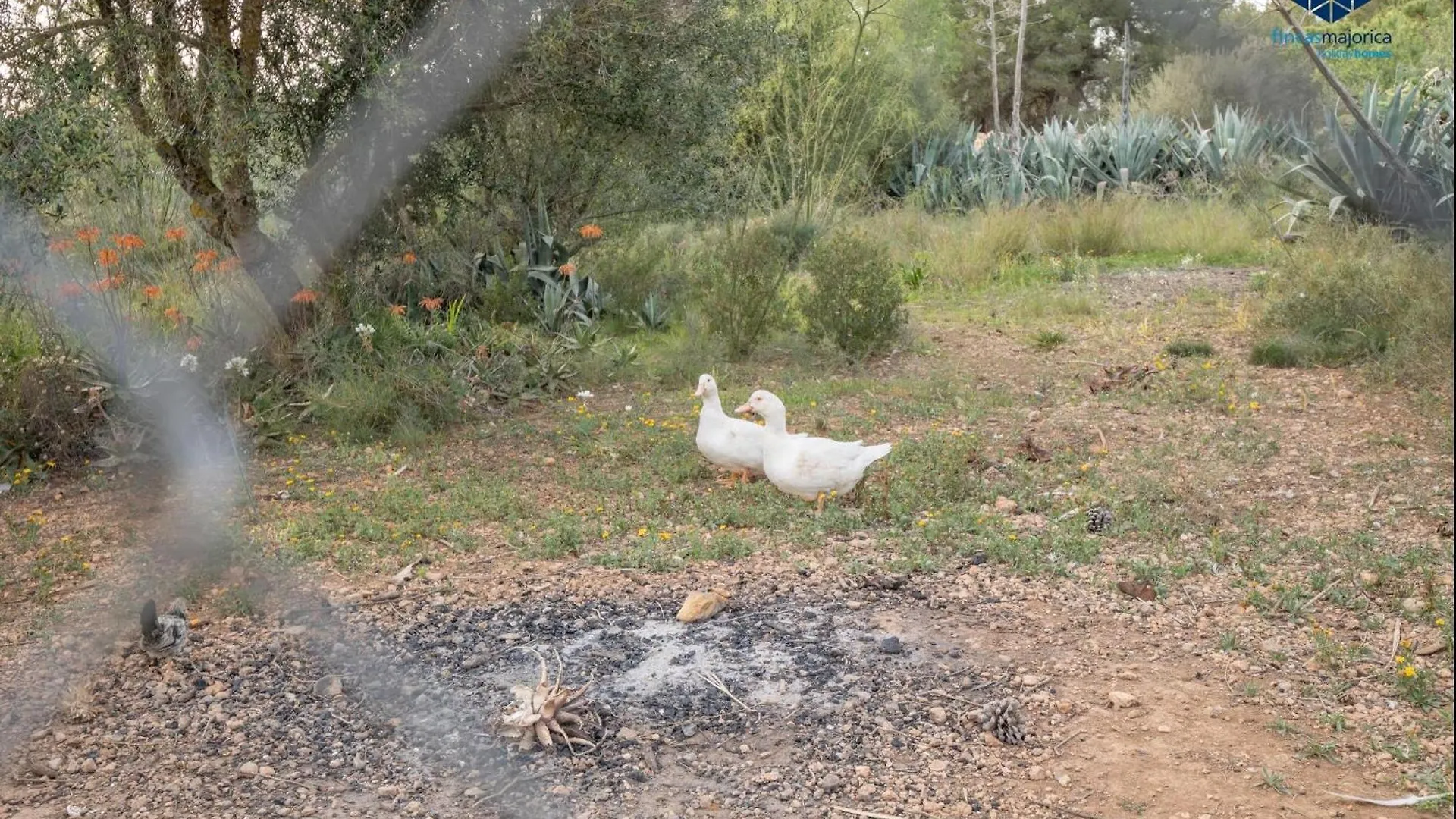 לןקמאג'ור Finca Timanfaya